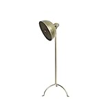 Yosemite Home Decor PFL2247L-1NI Portable Collection 63 Inch Floor Lamp, Nickel, 199 Piece