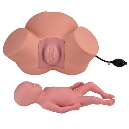 Baby delivery simulator model life-size, difficult labor delivery teaching model, equipped with adjustable inflatable bag to adjust the pelvic width, for obstetrics and gynecology training teaching