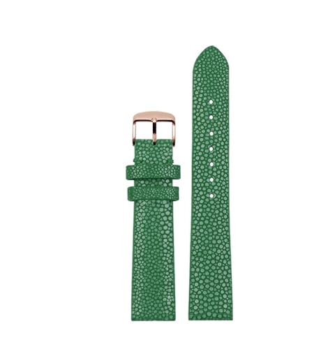 [ȓX] ^̋玞vXgbvWɓKtBbgtBbg Fit For FIYTA/Fit For EBOHR ɃtBbg 718864 718964 718874 fB[Xv`F[bh 16 ~[g(Green rg)