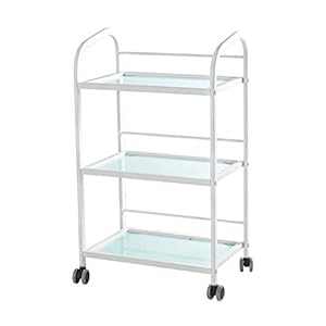 YASEking Trolley On Wheels Tool Beauty Salon Cart, 200 kg Max belasting, Duurzame 3 Tier Kapper Rolling Trolley met wiel…