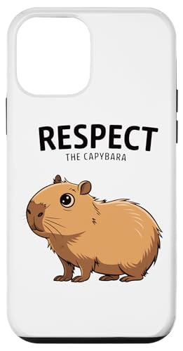 Jsô킢̃[A𑸏d X}zP[X iPhone 12 mini p