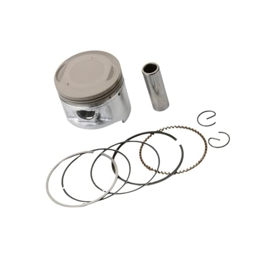 2Zbg 49mm sXgLbg XV250 Virago 1995-2007 V-Star 250 2008-2015 1988-1990 I[goCp