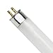 F8T5/CW 8W T5 12" Cool White 4100K Fluorescent Light Bulb 12,000HR