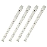 Flûte à bec à 8 trous – petite et pratique, légère et résistante, elle répondra parfaitement à vos besoins. fabrication soignée et détails raffinés. instrument à vent d'entraînement