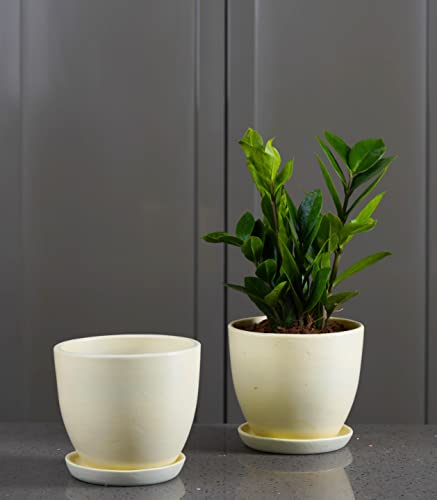 Image of Nurturing Green Set of 2 Modern Ivory White Ceramic Pots for Home & Indoor Decor | Ceramic Plant Pots (Size: 5 Inch Wide | Comes with Bottom Plate) - [Plants are not Included]