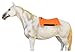 CHALLENGER Horse 28