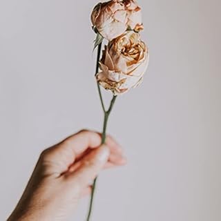 Raquel Queir&oacute;s Pinto Audiobook By Raquel Queir&oacute;s Pinto cover art