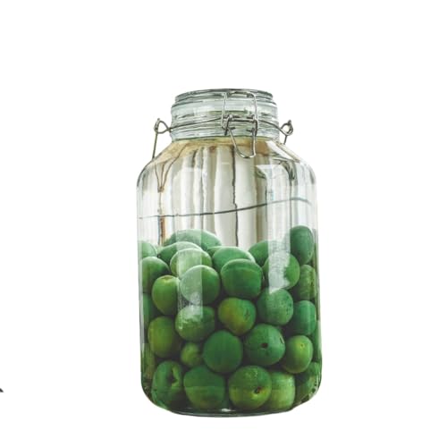 WXQ梅酒ボトル ガラスボトル フルーツワインボトル 2L/3L/4L/5L 大容量食品保存容器 ガラス密封保存ボトル コーヒー豆茶砂糖保存容器 密封ボトル保存容器ボトル 果実酒製造 (ラウンド,4L)