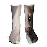 labrador miele femmina ♥ I migliori regali ---- Design personalizzato, questi calzini da squadra sono il complemento ideale per le tue gonne o pantaloncini preferiti, adatti per la maggior parte delle occasioni della vita quotidiana. Ottimo per il Ringraziamento, compleanno, festa della mamma, festa del papà, Halloween, Natale, tutti gli sciocchi , Regalo per le vacanze di San Valentino, Pasqua ecc.