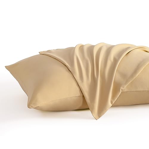 NTBAY Queen Microfiber Pillowcases, Set of 2, Light Taupe