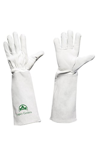 Legacy Gardens Leather Gardening Gloves For Women And Men | Thorn And Cut Proof Garden Work Gloves With Long Heavy-Duty Gauntlet | Suitable For Thorny Bushes Cacti Rose Pruning Size (Extra Large) #TOP1