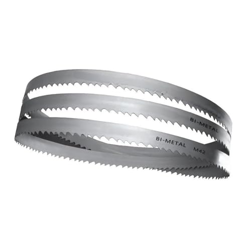 DQZRTUECA Hoja de sierra de cinta M42 de 13 mm, 10-14 TPI, varias longitudes for cortar metal, madera y hueso(1790mm)