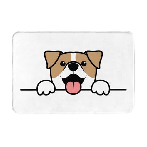 ���փ}�b�g �� ���� ���� ���O ����~�� �􂦂� �k���� �t�����l�� �z������ �h�L �R�� ���� ������� 40×60cm �o�X�}�b�g �L�b�`���}�b�g