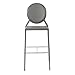 Euro Style Isabel Bar Stool, Set of 2, Gray/Chrome