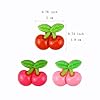SaktopDeco 48 PCS Cherry Resin Flat Back Resin Cherry Fruit Charms Bulk Embellishments for Crafts Accessories #1