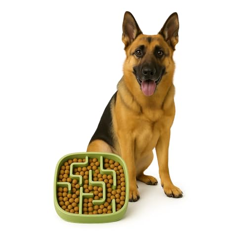 Image of Slow Feeder Bowl | Square Maze Food Bowl for Dogs and Cats | Anti Choking Puzzle Bowl | Anti Slip Interactive Feeding Dish | Durable & Easy to Clean | Anti Bloat and Aids Digestion (Green)