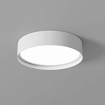 DLLT 24W LED Flush Mount Ceiling Light, 13 Inch Dimmable Round Ceiling