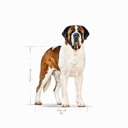 ROYAL CANIN Giant Adult Trockennahrung für Hunde – 15 kg