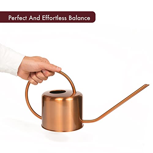 Homarden Copper Watering Can (40Oz) - Small Watering Can For Indoor Plants, House Plant, Snake Plant, Terrarium Jar, Bonsai Pot And Flower Garden #TOP6