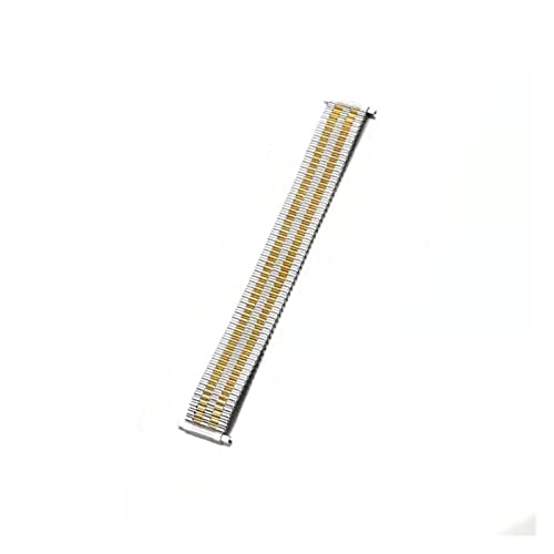 Bracelet montre acier inoxydable bicolore extensible 18mm à 22mm HMFang