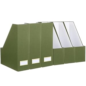Gueevin Set of 6 Magazine File Holder Stylish Sturdy Cardboard File Boxes Desk Magazine Organizer Rack with Gold Label Holder to Organize Your Desk or Shelves for Home Classroom Office Library(Green)