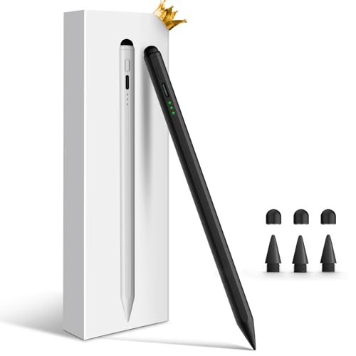 Image of Stylus Pen for iPad, Dual-Tip 13 mins Fast Charge Pencil for Apple, Palm Rejection, Tilt Sensitivity, Compatible w /iPad 6 /7 /8 /9 /10, Pro 11 /12.9in /M4, Air 3 /4 /5 /M2, Mini 5 /6 - Black