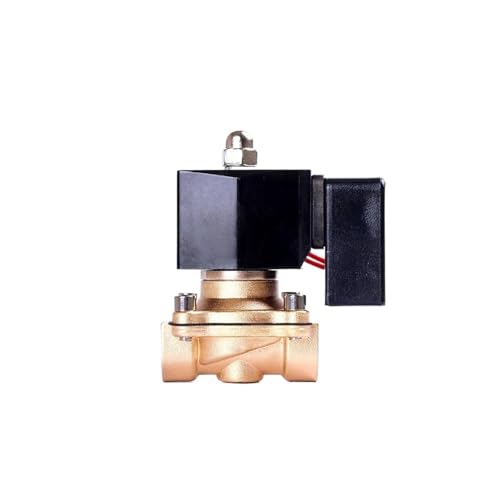 Électrovanne normalement fermée 1-1/4 acier inoxydable 12VDC joint Viton pour circuits fermés
