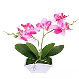 Idéal pour offrir : un cadeau attentionné pour une pendaison de crémaillère, des vacances ou des moments spéciaux, cette orchidée papillon artificielle ajoute une touche joyeuse et durable à n'importe quel environnement, ce qui en fait un choix approprié pour les amis et la famille qui apprécient les beaux accents de maison