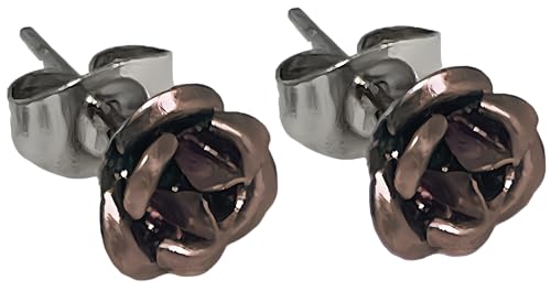 [Y KNsAX 8FWJ pi2Zbgj X^bh Y fB[X XeX ubN Vo[ ANZT[ (uE)