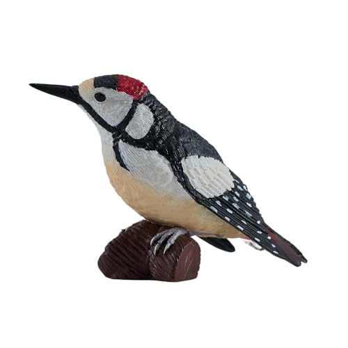 ���W��(Mojo) �t�B�M���A �L�c�c�L 381142