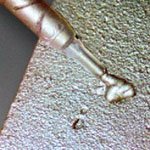 Aremco-Bond 657 Epoxy - High Corrosion Resistance, Gallon