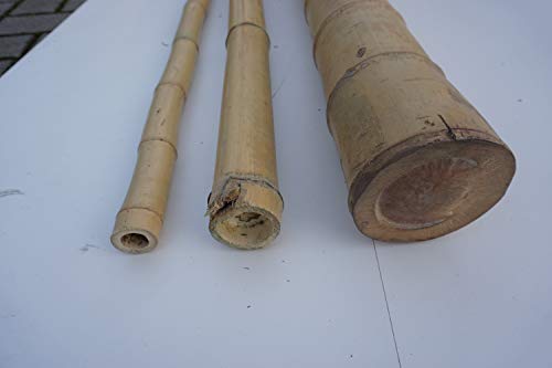 poppe-portal 8 Stk Bambusstangen 6/8cm Durchmesser 200cm Länge Cover