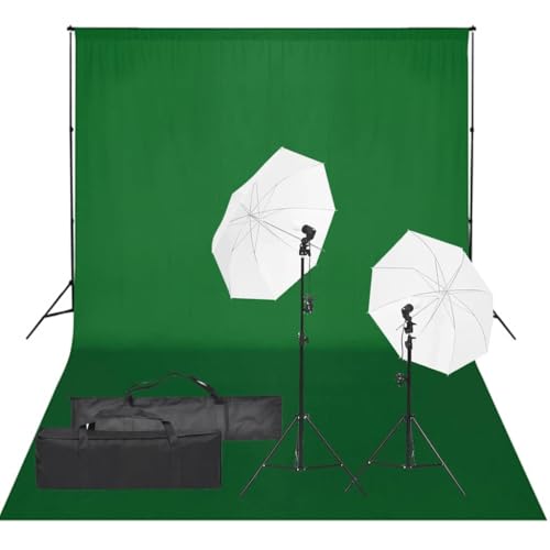 vidaXL Kit de Estudio Fotográfico con Set de Luces y Fondo Soporte Telón Pantalla Foto Video Sistema Lámparas Luz Iluminación Plegable