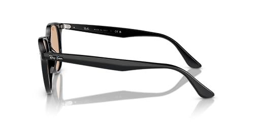 Ray-Ban Rb4259f Low Bridge Fit Round Sunglasses3