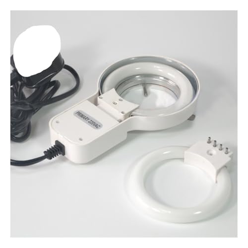 Lbg 220V Ɩ 8w ~`Cg 1̃XyAv^OA_v^[t YA_v^[