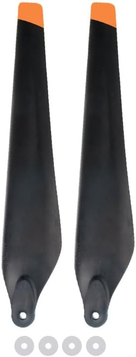 大型絵銭 直径14.1cm 重さ約695g 古物】絵銭/福銭 相模国 大雄山福寳