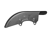 ducati monster carbon front fender Webart: Leinwand ; Lackierung: Hochglanz