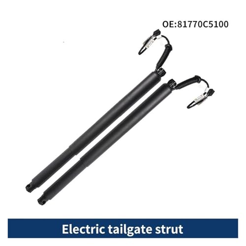 Gas spring vérin support hayon arrière électrique 81770-C5100 conception premium