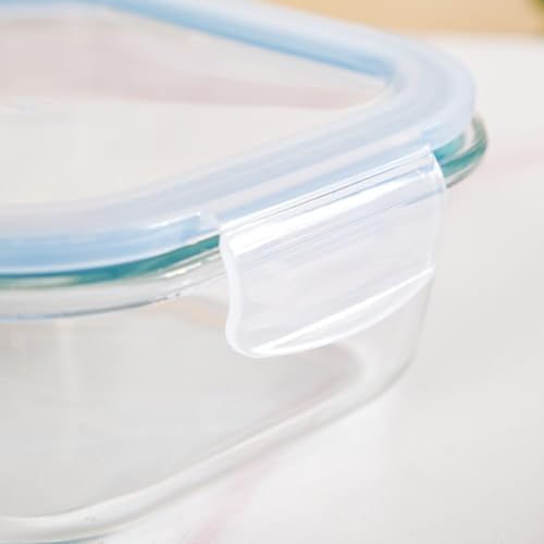 Nestasia Glass Lunch Box for Men & Women (Set of 3, S-300ml, M-500ml, L-800ml) - Borosilicate Glass Containers with Airtight Clip Lock Lids - Microwave, Dishwasher, and Refrigerator Safe, Blue