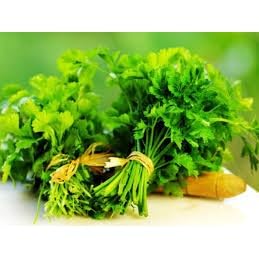 48.000 Sementes de Coentro Português 500g Hortaliças Tempero Cozinha Saladas