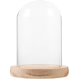 Gadpiparty Transparente Glaskuppel mit Holzsockel zur Aufbewahrung und Präsentation von Dekoration und Blumen für Büro und Zuhause mit Schlichtem Klarem Design