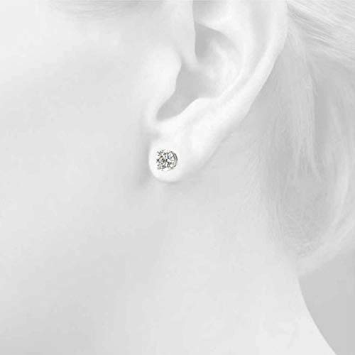 Igi Certified (1/2-1.00 Cttw, F-G Color, Vs1-Vs2 Clarity) 14K White Gold Or 14K Yg Round Lab Grown Diamond Stud Screw Back Earrings By Stefano Navi (White-Gold, 0.75) #TOP3