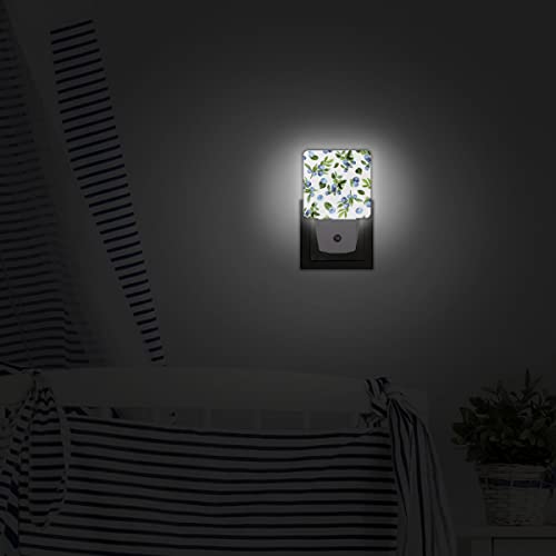 Qsirbc Night Light Blueberry Painting Motion Sensor Dusk To Dawn Led Lamp Set Of 2 Plug-In Energy Efficient Nightlights For Room Hallway Stairs Decor Aesthetic And Bedroom Essentials #TOP6