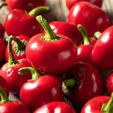 Urban Turtle Red Round Pepper Hot Shaji Chilli F1 seeds for Gardening Hottest Round Pepper (B0C7CGM47K) Amazon Price History, Amazon Price Tracker
