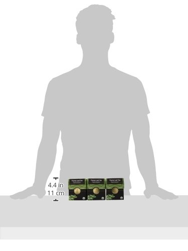 Buddha Teas Thyme Leaf Tea, 18 Count (Pack of 6) - Thumbnail 5