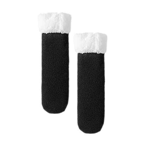 q[g\bNX,NX}Xpq[^[CvbV,ʋC ۉ  Xbp\bNX | l j  ޏ d ItBX  nCLO EH[LO s AEghA ChA 