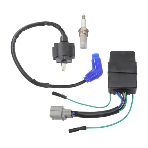 Bobine d'allumage pour vos sorties en quad TRX350 bougie de rechange 2003-2005