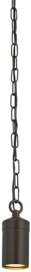 Home Decorators Outdoor Antique Bronze Integrated LED Hanging Pendant with Chain