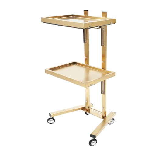 2-Tier Stainless Steel Salon Trolley, Hairdressing Tool Rolling Cart with Wheels, Modern Design for Easy Mobility and Storage, Perfect for Salons and Tattoo Shops (Gold)