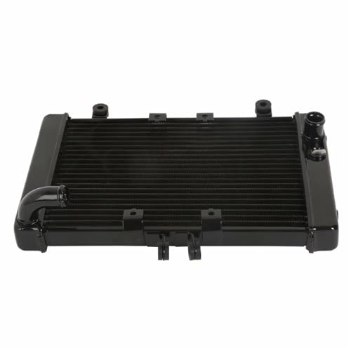 Radiateur CB1000 1994-1995 premium : vase d'expansion haute résistance